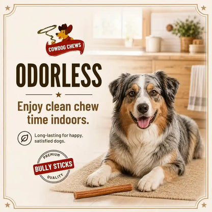 Cowdog Chews Beef Bully Stick: Odor-Free, Fully Digestible Beef Collagen Chews (5-7", 10 Count) - Natural, Grain-Free, Long-Lasting Collagen Bully Stick Substitute for All Dog Breeds4