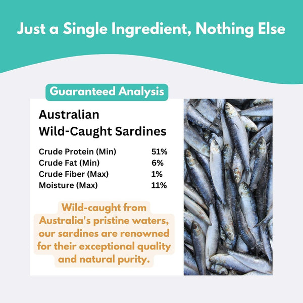 ALFIE'S TREATOS Sardines for Dogs & Cats, Omega-3 Air-Dried Fish (2.65 Oz) | Single-Ingredient Wild-Caught Australian Sardine, Air-Dried, Use as a Topper or Training Treat6