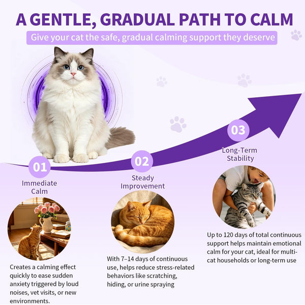 Cat Calming Diffuser Kit with 2 Diffusers & 4 Refills (48Ml Each), Cat Pheromones Calming Diffuser for Cat Anxiety Relief, Stress Reduction & Behavior Support, 30-Day Refills, Suitable for All Cats5