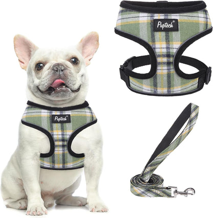 PUPTECK Soft Mesh Dog Harness Small Sized and Leash Set Pet Puppy Cat Comfort Padded Vest No Pull Harnesses, Beige, S21