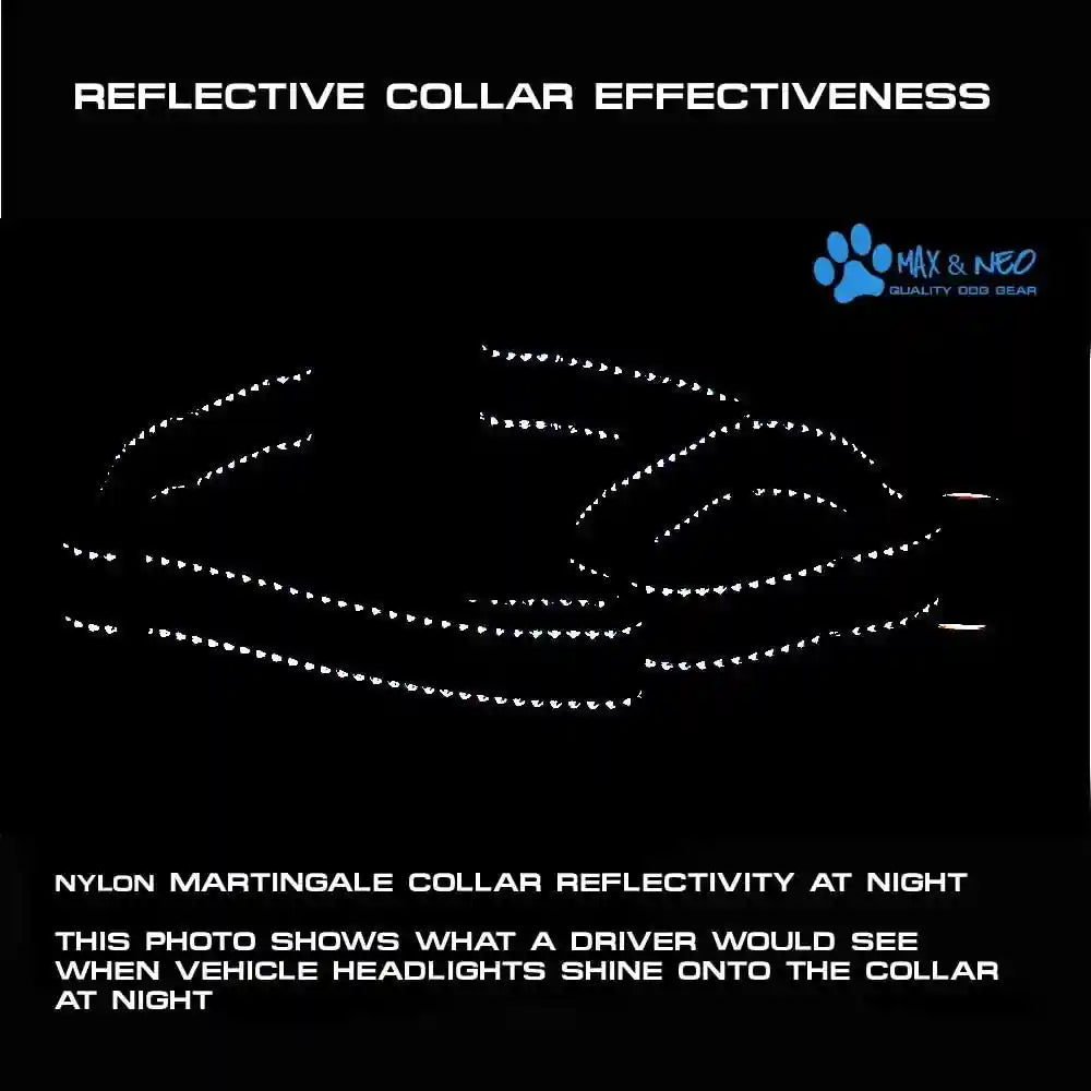 max-and-neo-nylon-martingale-collar-we-donate-to-a-dog-rescue-for-every-collar-sold-medium-orange