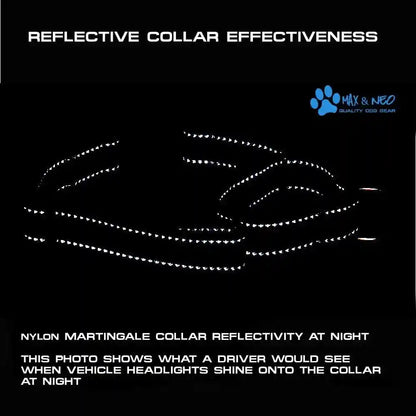 Max and Neo Nylon Martingale Collar - We Donate to a Dog Rescue for Every Collar Sold (Medium, Orange)4