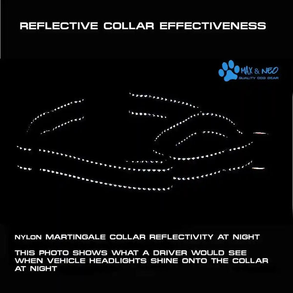 Max and Neo Nylon Martingale Collar - We Donate to a Dog Rescue for Every Collar Sold (Medium, Orange)4