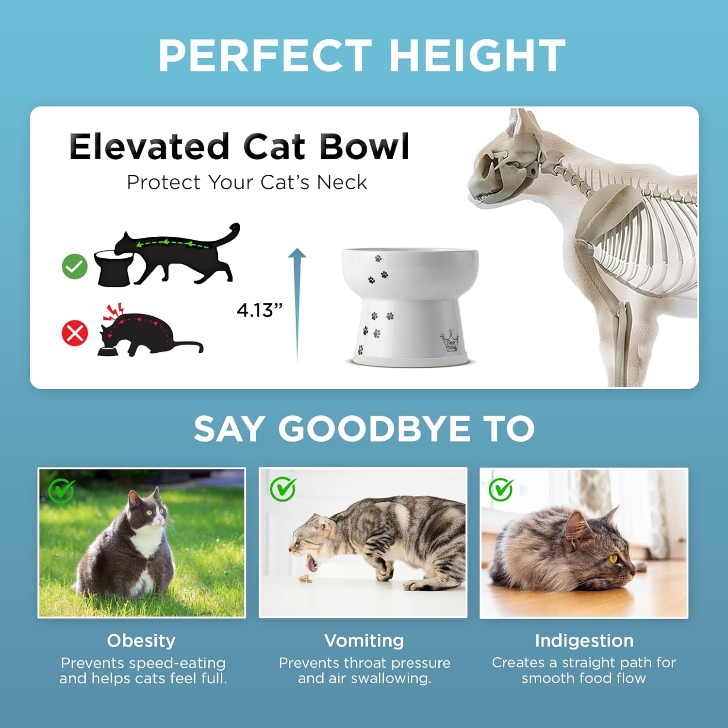 necoichi-raised-cat-water-bowl-elevated-with-measurement-lines-dishwasher-and-microwave-safe-cat-extra-tall-white