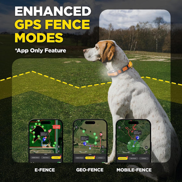 Dogtra PATHFINDER2 MINI Compass Live GPS Dog Tracking & Training System - 4-Mile Range E-Collar Handheld with No Subscription, Offline Maps, GPS Fence, Expandable up to 21 Dogs, for Dogs 15+ Lbs7