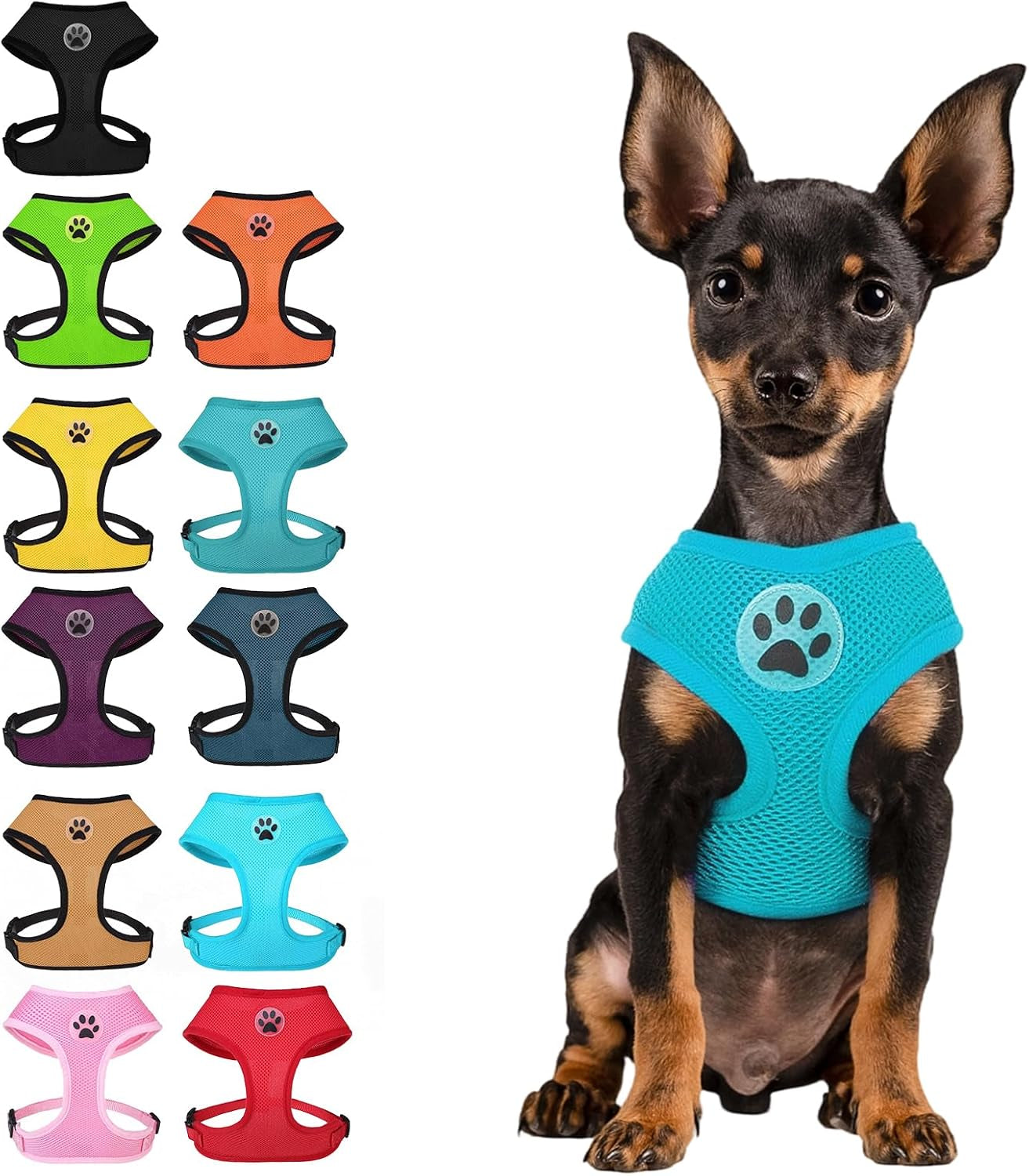 bingpet-small-dog-harness-no-pull-dog-harness-small-sized-dogs-soft-light-breathable-mesh-puppy-vest-with-safety-buckle-adjustable-step-in-pet-harnesses-for-easy-walking-running-training