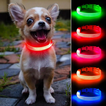 Light up Dog Collar for Small Dogs& Cats, Reflective LED Dog Collar Rechargeable Glowing Puppy Collar Safety Dog Lights for Night Walking (Royal Blue)10