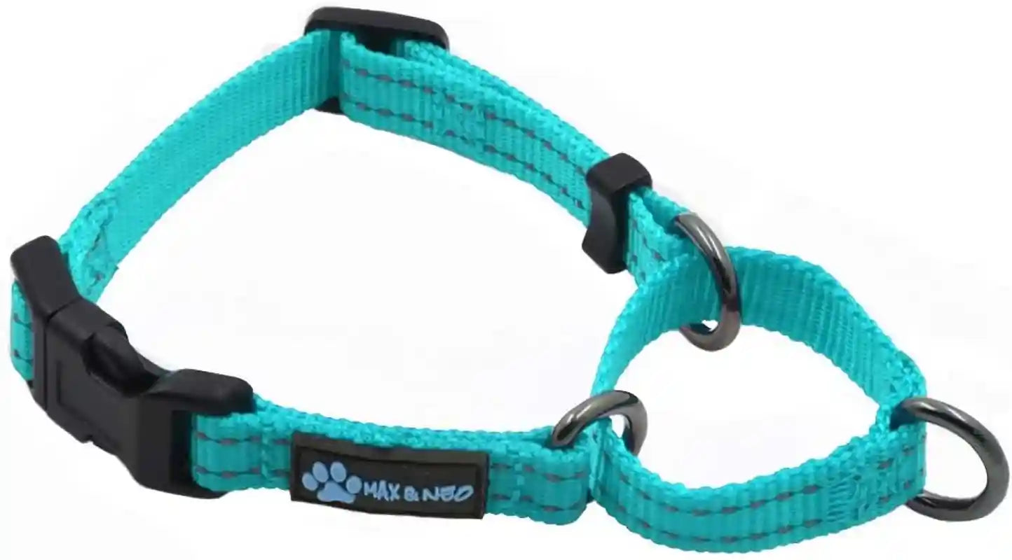 max-and-neo-nylon-martingale-collar-we-donate-to-a-dog-rescue-for-every-collar-sold-medium-orange
