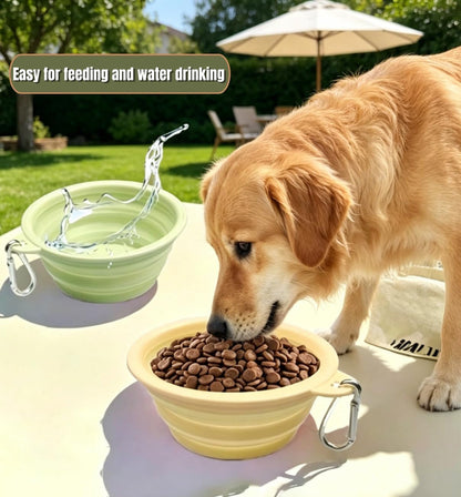 Collapsible Pet Bowl Travel Food Water Bowl(Greenpinkblue) | Food-Grade Silicone, Bpa-Free, Soft & Durable. Collapsible with Carabiner for Travel. Non-Slip Base, Easy to Rinse Clean.7