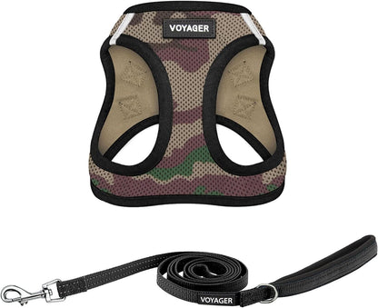 Best Pet Supplies Voyager Step-In Air All Weather Mesh Harness and Reflective Dog 5Ft Leash Combo with Neoprene Handle, for Small, Medium and Large Breed Puppies - Baby Blue, Small30