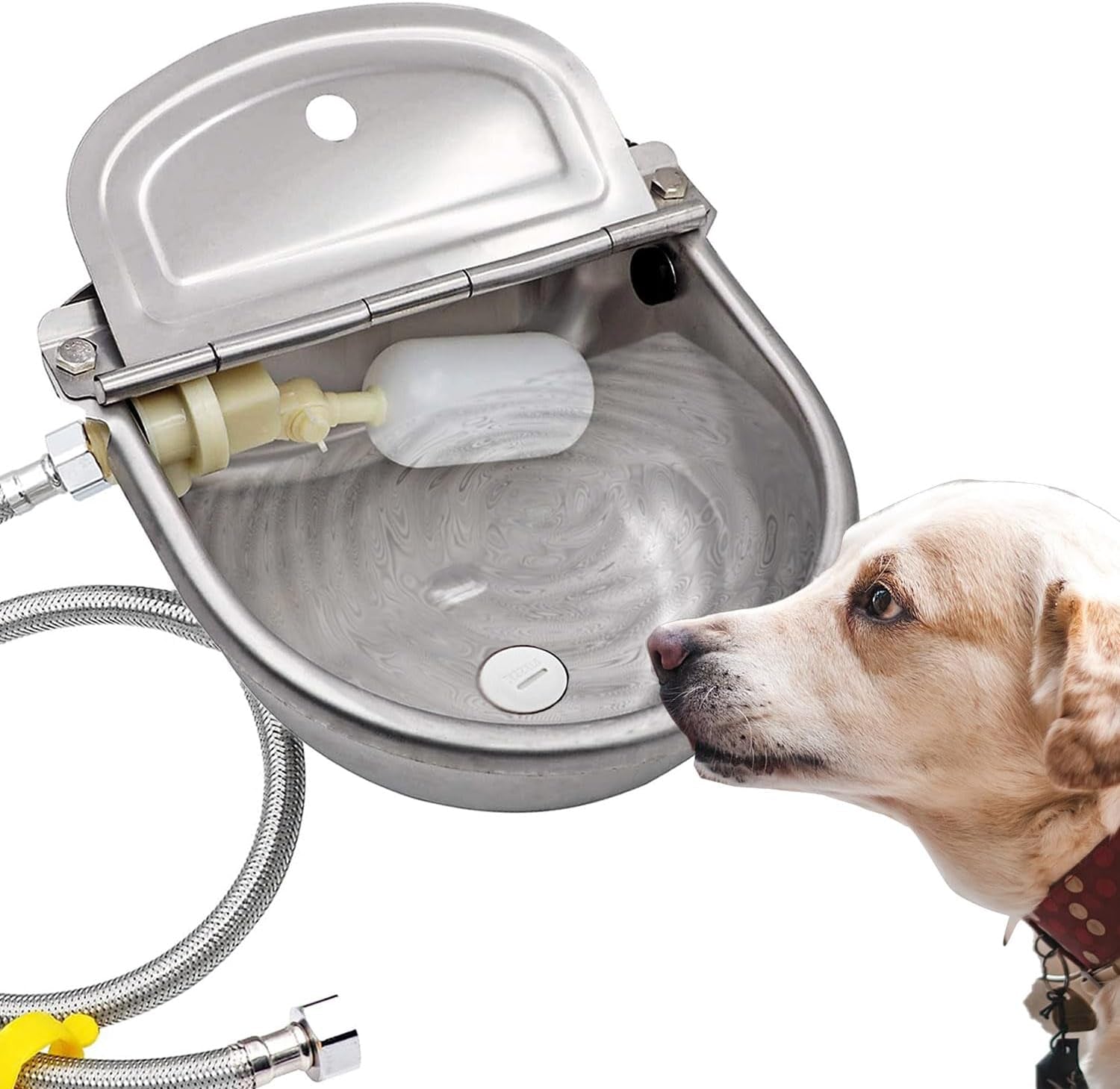 automatic-dog-water-bowl-dispenser-large-size-pet-waterer-feeder-stainless-steel-water-trough-for-poultry-and-small-livestock