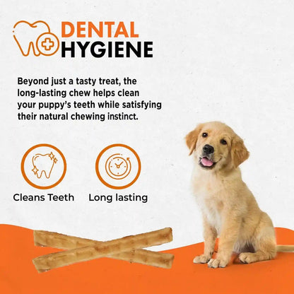 Canine Naturals Rawhide Free Puppy Chews, Chicken and Rice Recipe, 10 Count | 100% Rawhide Free, Made with USA Chicken, All-Natural, Easily Digestible, 5 in Sticks, Perfect for Teething Puppies5