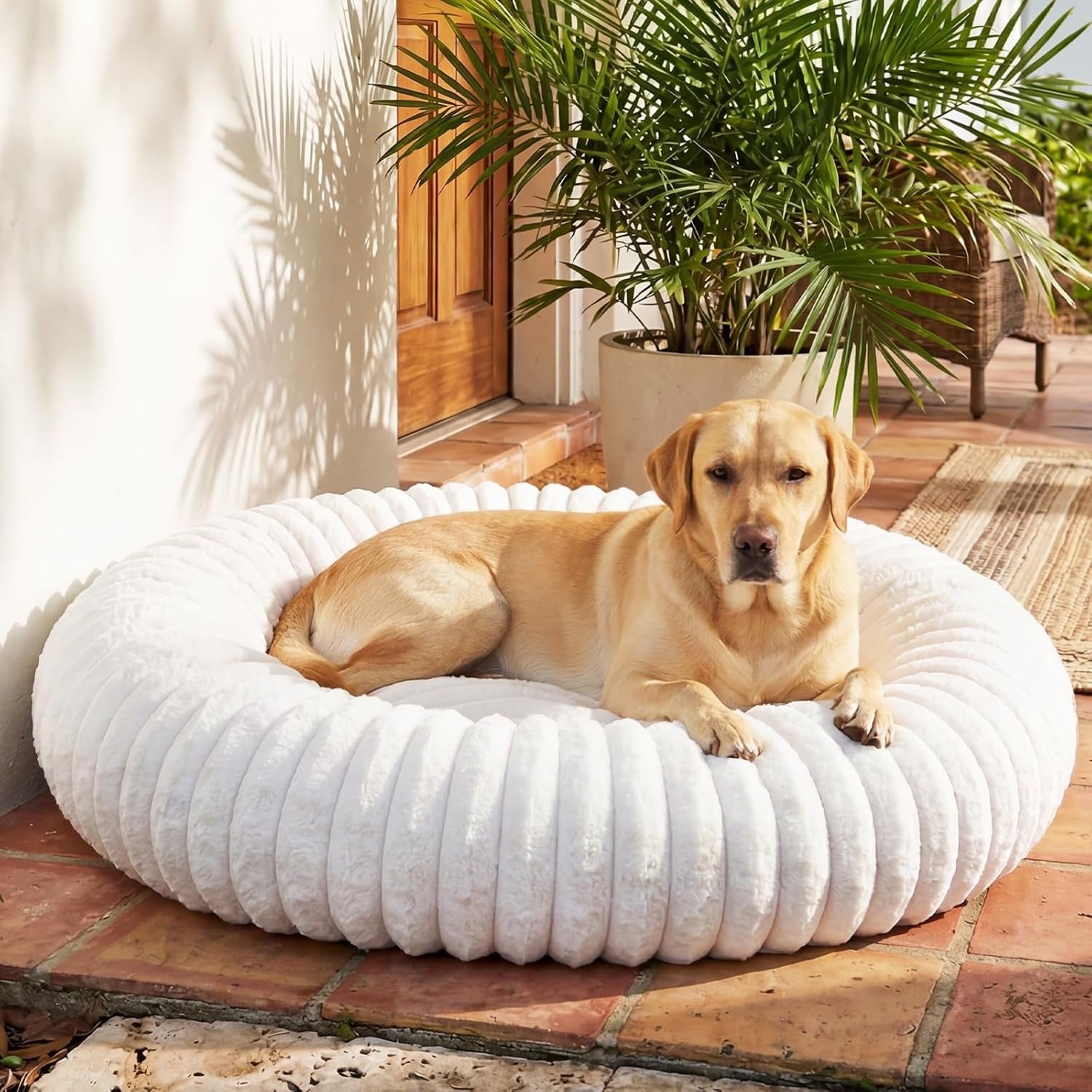 donut-pet-bed-for-indoor-cats-and-small-dogs-self-heating-dog-bed-with-non-slip-bottom-winter-comfort-dog-beds-for-puppies-washable-portable-egg-tart-shape-s-small-cat-bed-self-warming