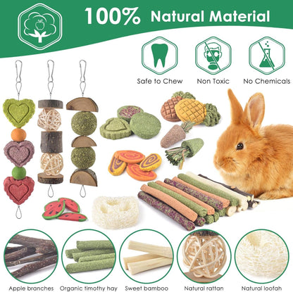KATUMO Rabbit Chew Toys, Bunny Treats Chew Toys for Small Animals | Strung Hanging Toys for Teeth, Natural Apple Wood Sweet Bamboo Grass Timothy Sticks for Guinea Pig, Hamster, Chinchilla4