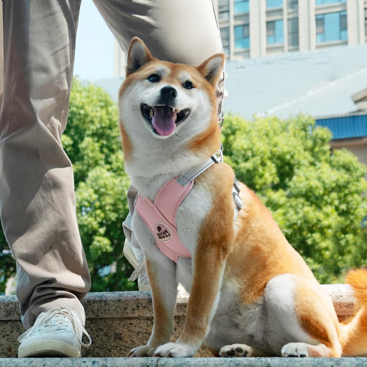 patas-lague-dog-harness-with-leash-set-adjustable-soft-padded-step-in-dog-vest-no-choke-no-pull-reflective-for-small-medium-pets-with-poop-bags-and-dispenser-solid-and-no-chew-pink-m