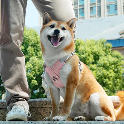 Patas Lague Dog Harness with Leash Set Adjustable Soft Padded Step-In Dog Vest No Choke No Pull Reflective for Small Medium Pets with Poop Bags and Dispenser, Solid and No-Chew, Pink M2