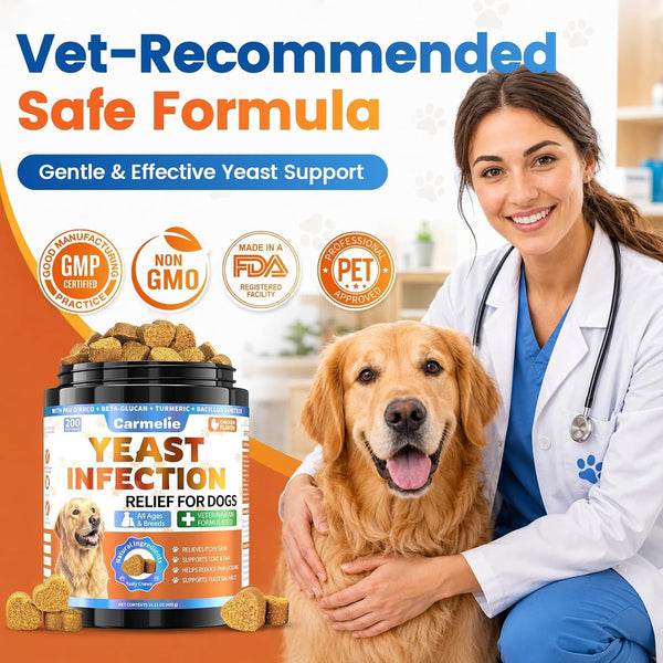 Yeast Infection Treatment for Dogs, 200 Chew Carmelie Yeast Balance Healthy Itch Relief, Ear Paw Care for Dog, Allergy Supports, Inflammation Relief for Dogs, Chinken Flavor (70 Days Supply)9