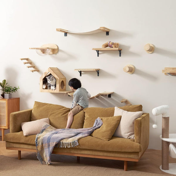FUKUMARU Cat Wall Furniture Set, Transparent Capsule with 2 PCS Pedals | Kitten Walls Shelves, Premium Kitty Bed, for Sleeping, Playing, Climbing, Lounging, Holds up to 35 Lbs8