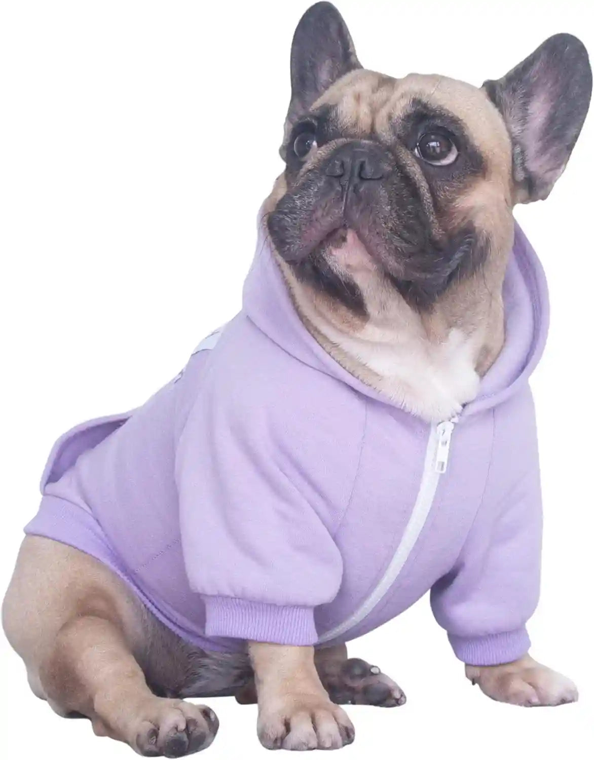 ichoue-french-bulldog-frenchie-clothes-hoodies-for-dogs-pug-english-boston-terrier-bully-pitbull-corgi-sweatshirt-sweater-clothing-khaki-xlarge