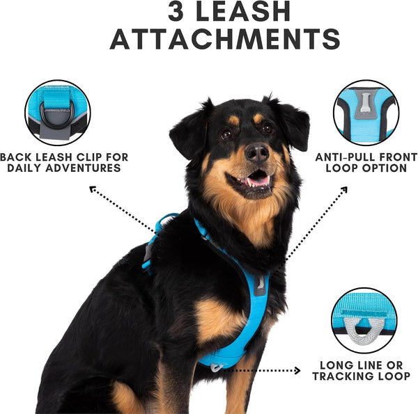 Shawnco Basecamp Dog Harness, No-Pull Pet Vest with 3 Leash Clips, Padded, Reflective, Lightweight and Adjustable Harness with Handle for Small, Medium and Large Dogs (ICY Lilac, M)3