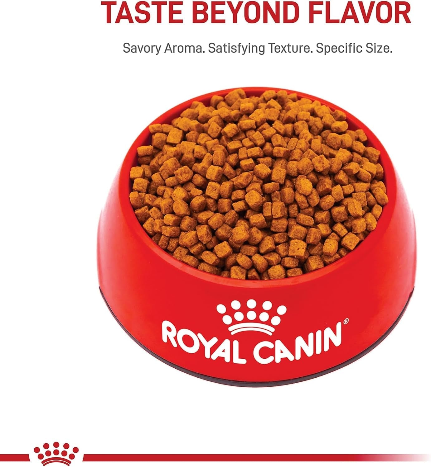 royal-canin-breed-health-nutrition-poodle-puppy-dry-dog-food-2-5-lb-bag-tailored-for-poodle-puppies-up-to-10-months-specialized-kibble-shape-supports-healthy-digestion-antioxidant-rich-formula