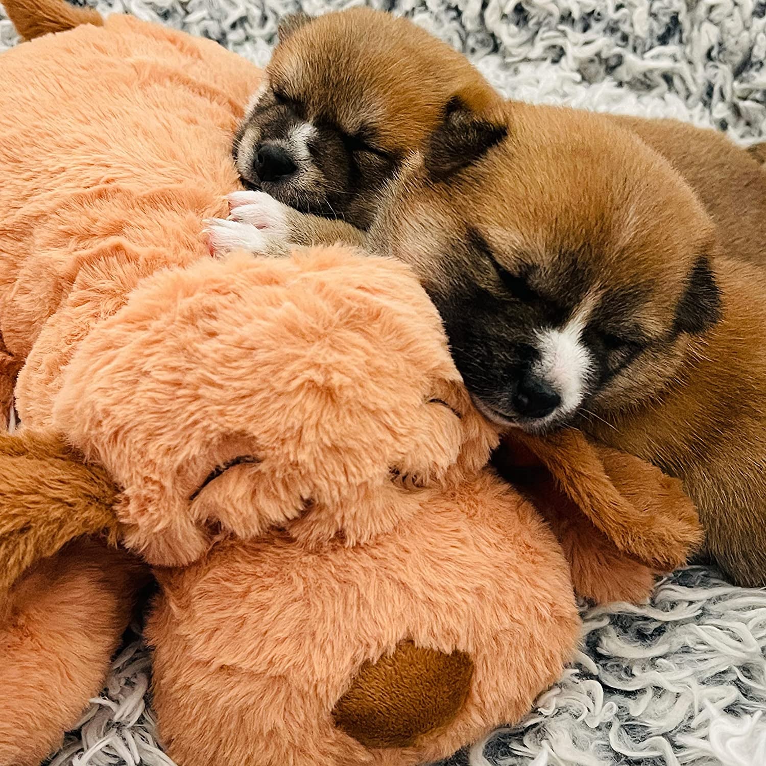 snuggle-puppy-original-heartbeat-puppy-toy-with-real-feel-pulse-heat-pack-calming-sleep-aid-for-puppy-anxiety-crate-training-first-nights-new-puppy-transition-biscuit