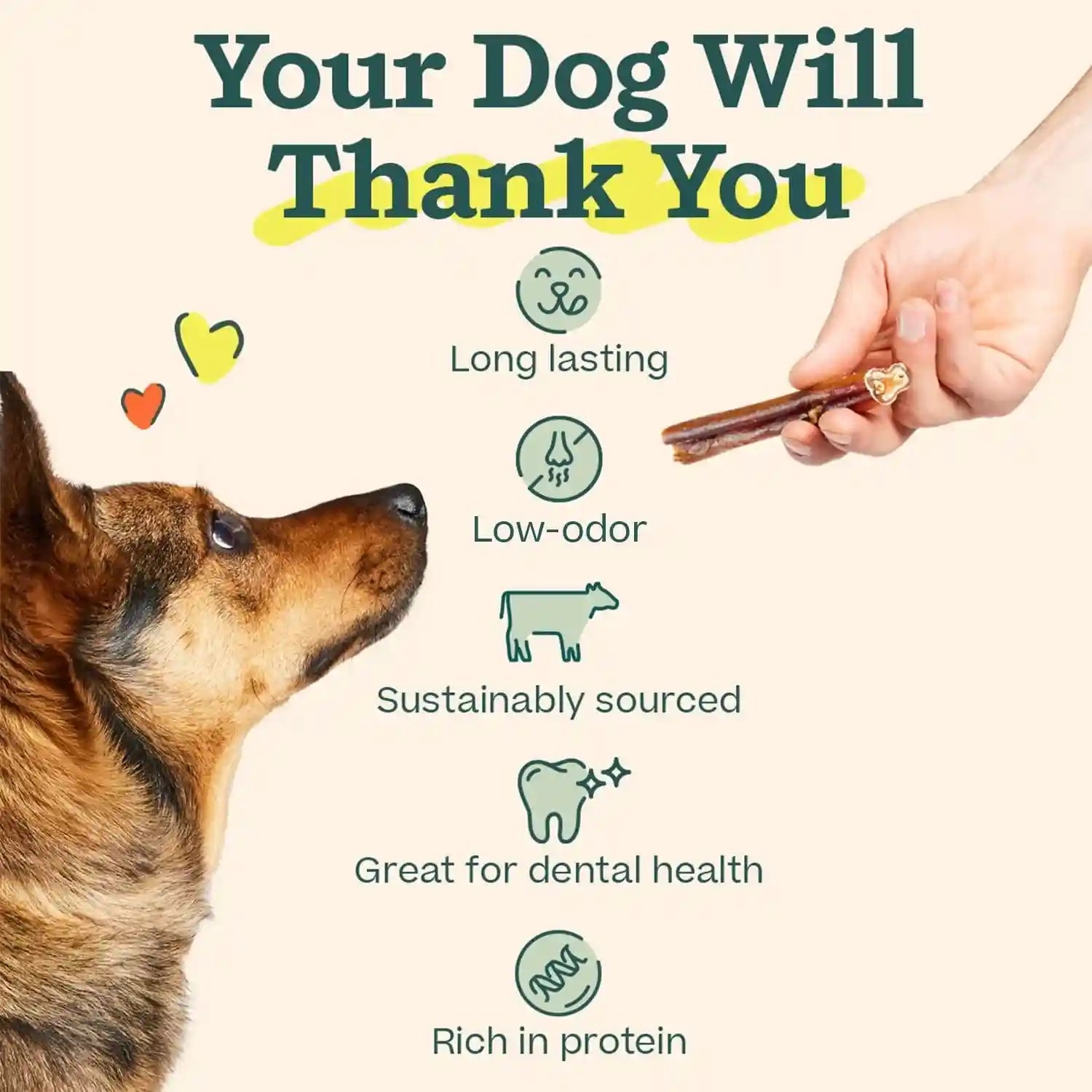 woof-bully-sticks-dog-treats-chew-sticks-for-dogs-long-lasting-dog-chew-treats-made-with-free-range-grass-fed-beef-6-sticks-10pk
