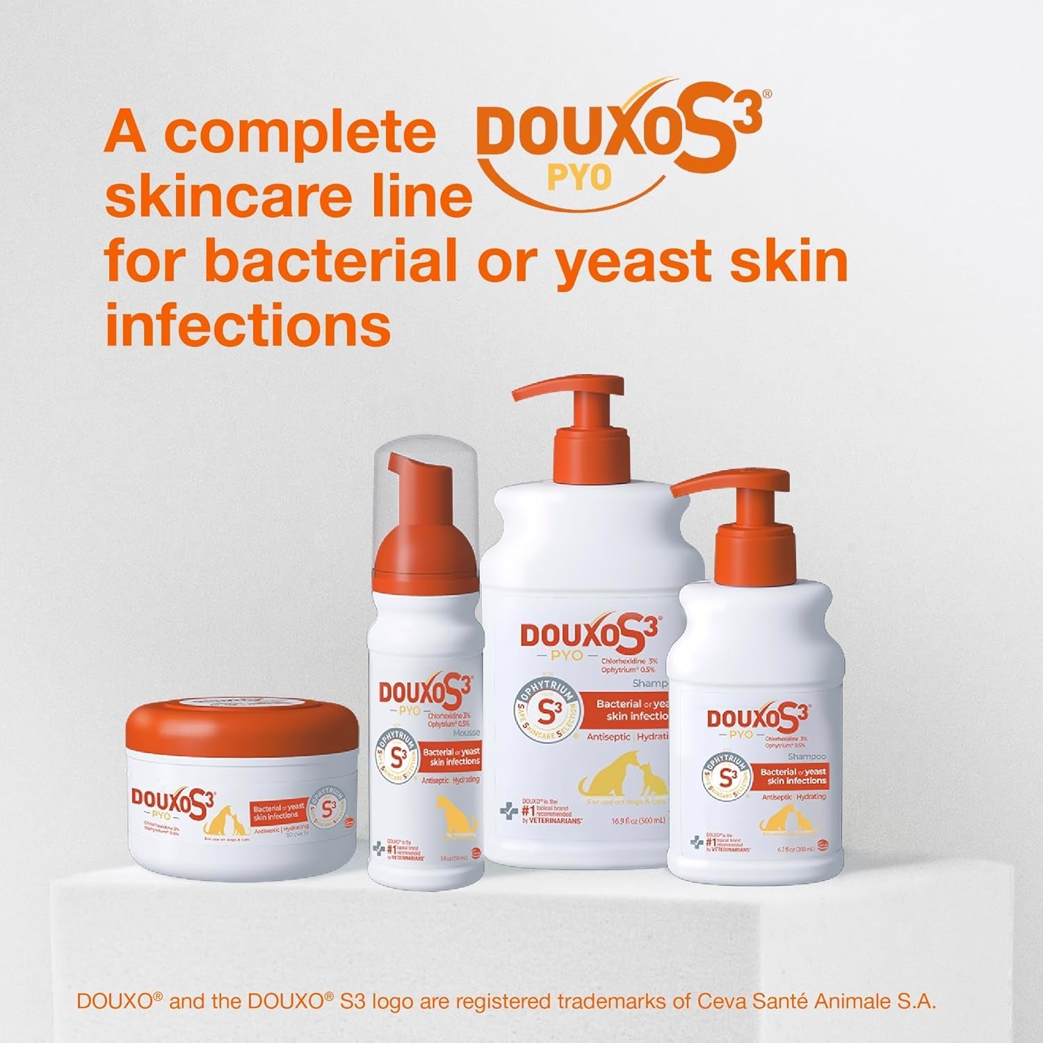douxo-s3-pyo-medicated-dog-shampoo-with-3-chlorhexidine-for-dogs-antibacterial-antiseptic-yeast-infection-treatment-for-dogs-cats-clinically-proven-6-7-fl-oz-antibacterial-antiseptic-yeast-infection-treatment-for-dogs-cats-clinically-proven-6-7-fl-oz