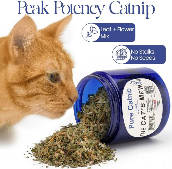 The Cat'S Mewow 100% Pure Catnip – North American Grown – Strong Aroma for Play & Enrichment – Resealable Freshness Jar – Veteran-Owned Brand2