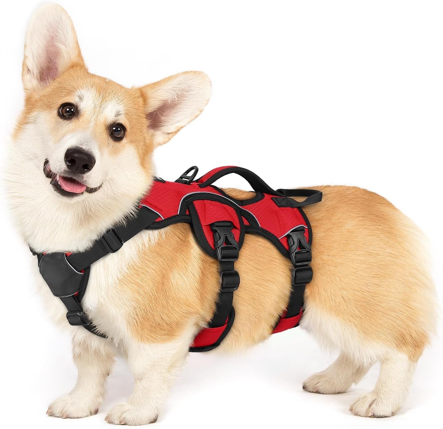 rabbitgoo-escape-proof-dog-harness-for-large-no-pull-with-lift-handle-no-escape-full-soft-padded-reflective-adjustable-vest-leash-clip-for-walking-hiking-training-black-large