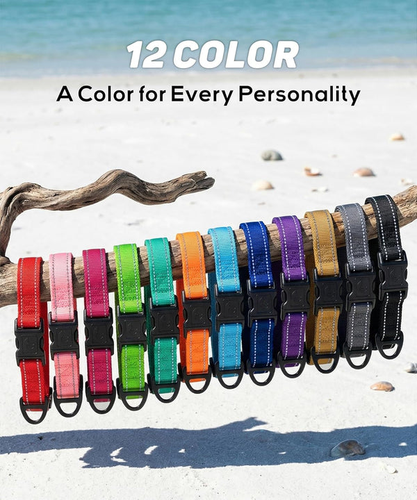 Tagme Small Dog Collar, Reflective Puppy Collar, Sky Blue, 3/8" Width | Lightweight, Nylon Collar for Puppies, Chihuahua, Yorkie & Teacup Dogs 5-15 Lbs, Reflective for Evening Walks, 12 Colors7