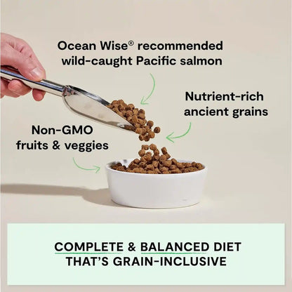 Open Farm Ancient Grains Dry Dog Food, Wild Caught Salmon Kibble, 22Lb Bag | All Life Stages, All Breed Sizes, Protein-Rich & Nutrient Dense, 100% Traceable Ingredients, Non-Gmo Fruits & Veggies.2