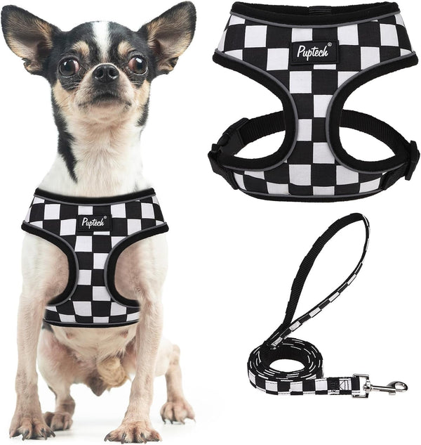 PUPTECK Soft Mesh Dog Harness Small Sized and Leash Set Pet Puppy Cat Comfort Padded Vest No Pull Harnesses, Beige, S40