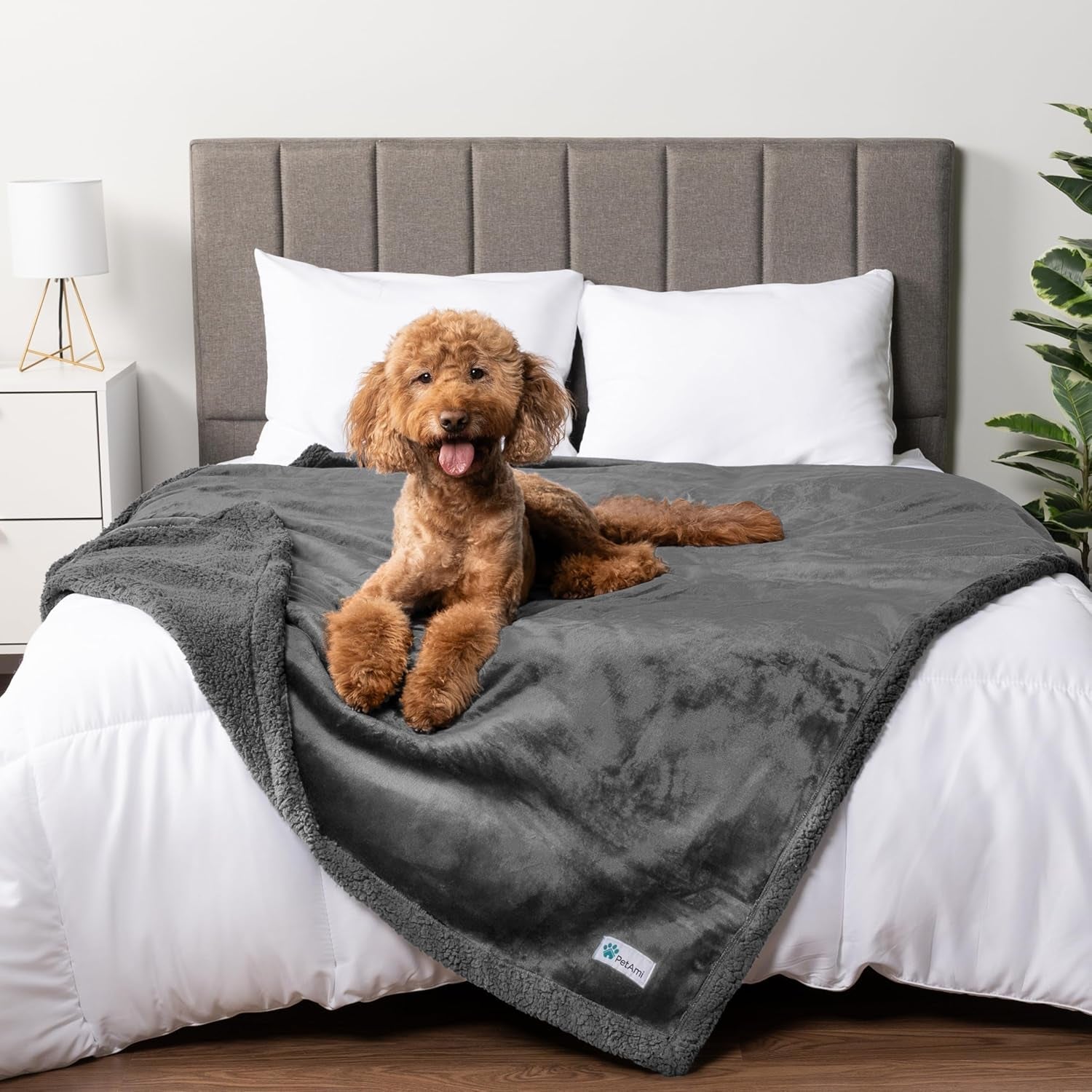 petami-waterproof-dog-blanket-for-couch-extra-large-80x60-pee-proof-sherpa-fleece-reversible-pet-throw-furniture-protector-for-bed-sofa-crate-kennel-soft-washable-cover-for-dog-cat-grey-sherpa