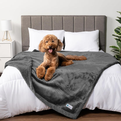 Petami Waterproof Dog Blanket for Couch, Extra Large 80X60, Pee Proof Sherpa Fleece Reversible Pet Throw, Furniture Protector for Bed Sofa Crate Kennel, Soft Washable Cover for Dog Cat, Grey Sherpa13