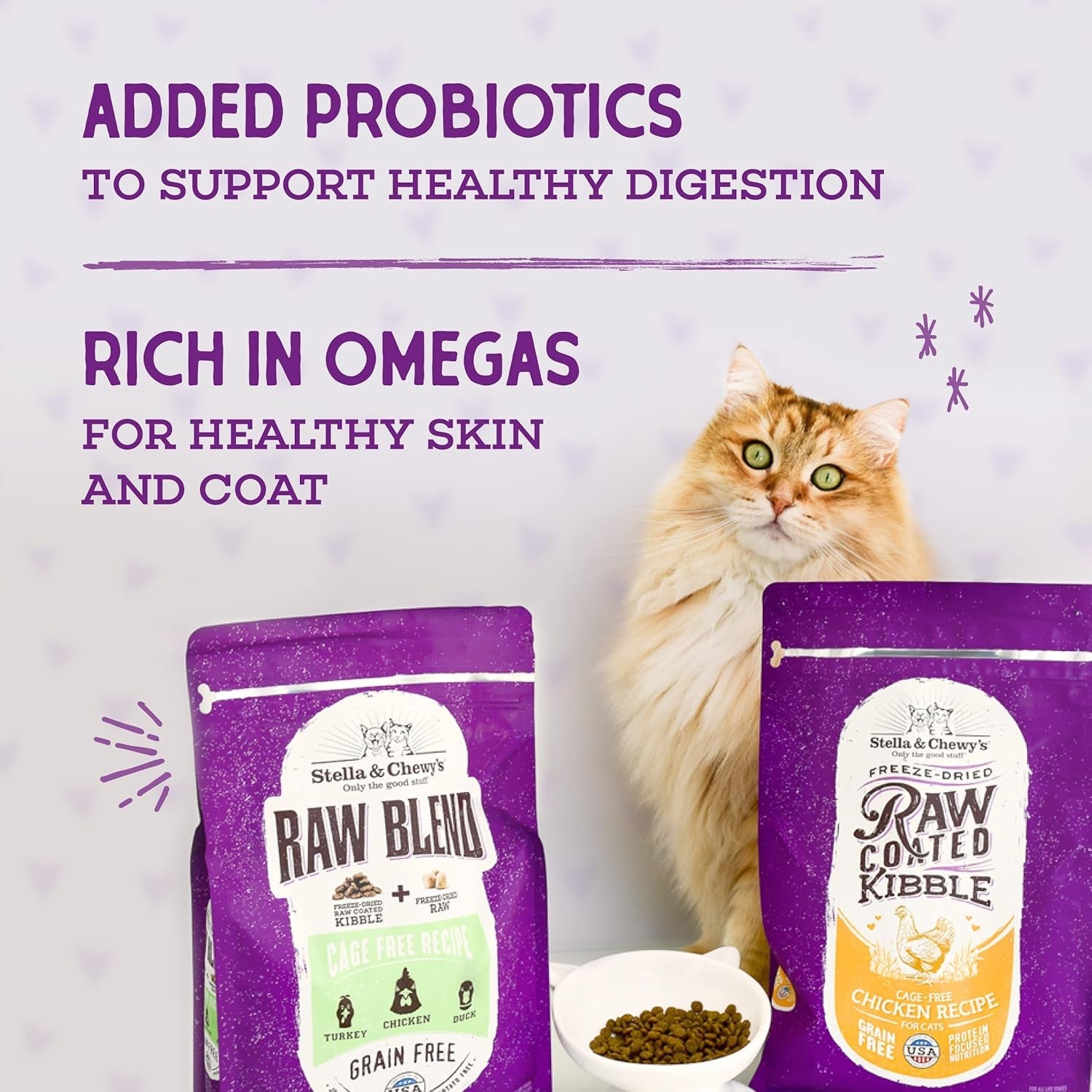 stella-chewys-raw-coated-cat-food-high-protein-grain-free-kibble-with-cage-free-chicken-premium-digestive-support-with-probiotics-natural-small-kibble-perfect-for-picky-eaters-10-lb-bag