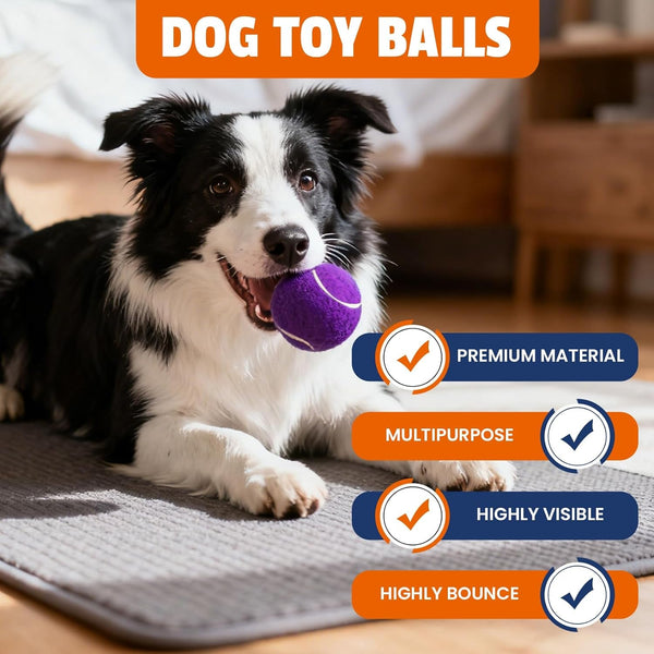 FURWEY Tennis Balls for Dogs 16 Pack,2.5 Inches,Durable and Non-Toxic Dog Toys Balls with Mesh Bag,Colorful Fetch Toys Balls for Pet Dog (Non Squeaky)7