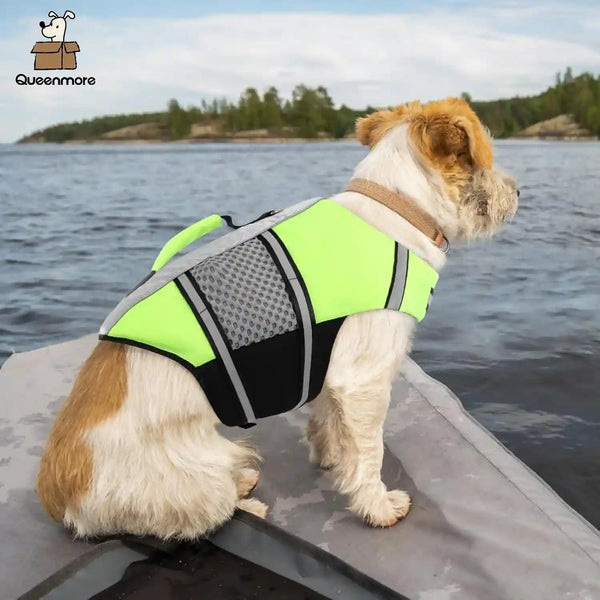 Queenmore Dog Life Jacket Small Float Vests for Swimming Boating Kayaking Mediumn Puppy Dogs Cats Neoprene Life Preserver Pet Water Lifesaver Lightweight Reflective Green,L5