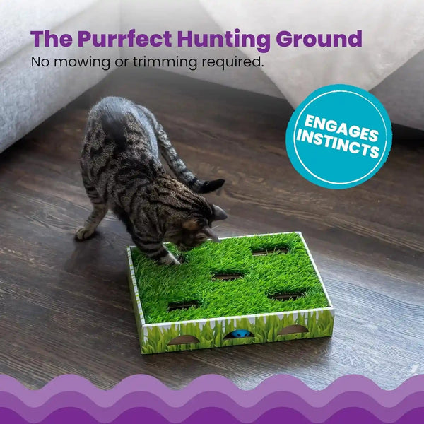 Catstages Grass Patch Hunting Box - Interactive Indoor Cat Toy with Faux Grass & 3 Jingle Balls - Encourages Exercise, Mental Stimulation & Natural Hunting Instincts4