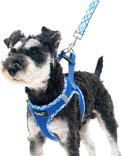 PUPTECK Dog Harness and Leash Set for Small Medium Dogs No Pull Step-In Soft Mesh Puppy Cat Vest Harnesses Reflective at Night, Green S29