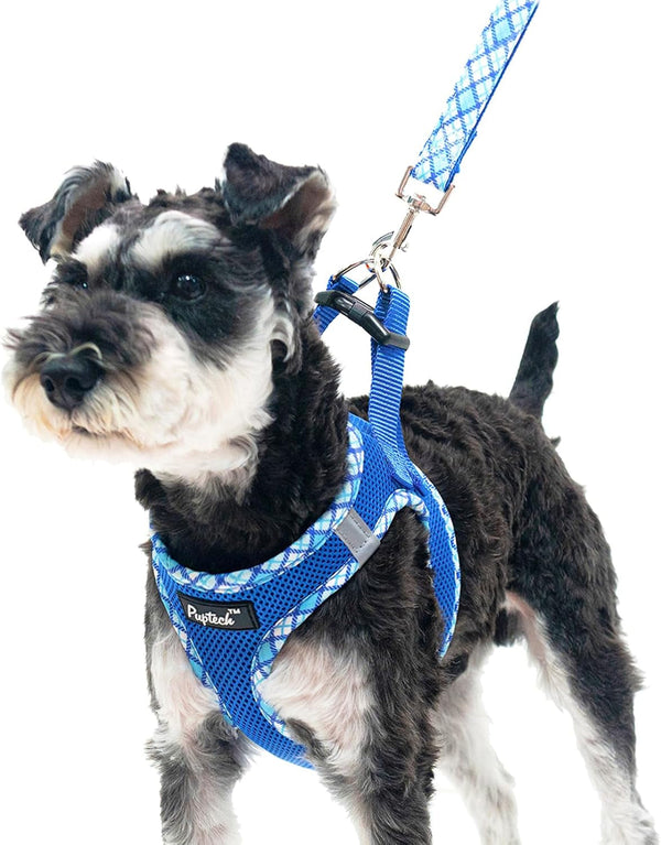 PUPTECK Dog Harness and Leash Set for Small Medium Dogs No Pull Step-In Soft Mesh Puppy Cat Vest Harnesses Reflective at Night, Green S29