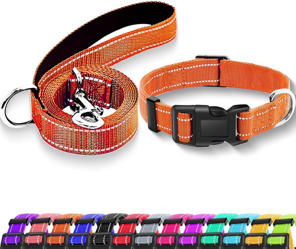 Reflective Dog Collar with Safety Locking Buckle, Adjustable Soft Breathable Nylon Collars for Small, Medium and Large Dogs(Collar+Leash XS Width 5/8" Turquoise) | Adjustable Soft Breathable Nylon Collars for Small, Medium and Large Dogs (XS Width 5/8" Turquoise)8