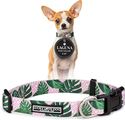 Lucky Love Dog - Easy Click Buckle Dog Collar with Leash Set Combo, Durable & Comfortable for Male & Female Dogs, Pet Collar for Medium Dogs, Secure Fit - Blackbird Combo, Medium43