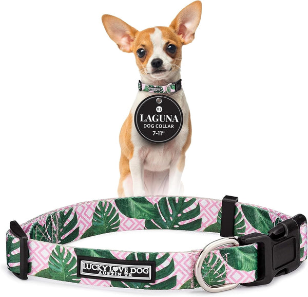 Lucky Love Dog - Easy Click Buckle Dog Collar with Leash Set Combo, Durable & Comfortable for Male & Female Dogs, Pet Collar for Medium Dogs, Secure Fit - Blackbird Combo, Medium43