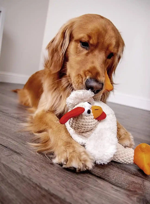 Godog Checkers Fat Rooster Squeaky Plush Dog Toy, Chew Guard Technology - White, Large5