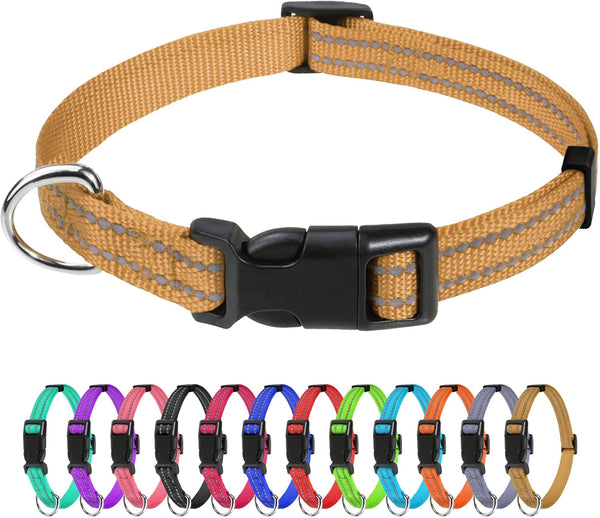 Tagme Small Dog Collar, Reflective Puppy Collar, Sky Blue, 3/8" Width | Lightweight, Nylon Collar for Puppies, Chihuahua, Yorkie & Teacup Dogs 5-15 Lbs, Reflective for Evening Walks, 12 Colors37