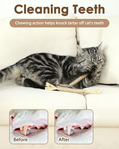 Tocirelo Silvervine Sticks for Cats, Natural Cat Chew Toy Teeth Cleaning | 6Pack Matatabi Sticks Dental Care Kitten Treat, Catnip Cat Teething Toys, Catmint Silver Vine Sticks for Bored Indoor Kitty3