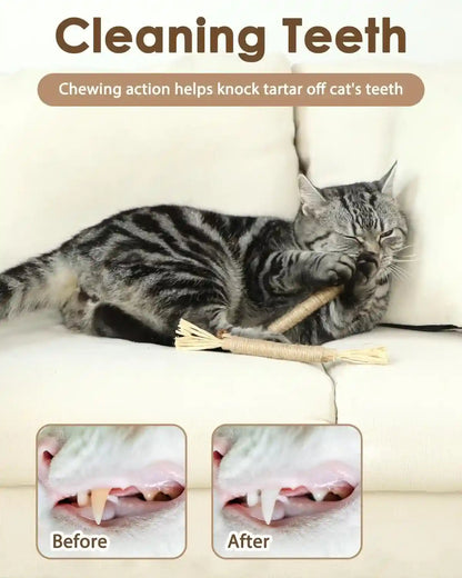 Tocirelo Silvervine Sticks Cat Toys - 6Pack Natural Cat Chew Toy Teeth Cleaning, Matatabi Dental Care Kitten Treat, Catnip Cat Teething Toys, Catmint Silver Vine Sticks for Bored Indoor Kitty3