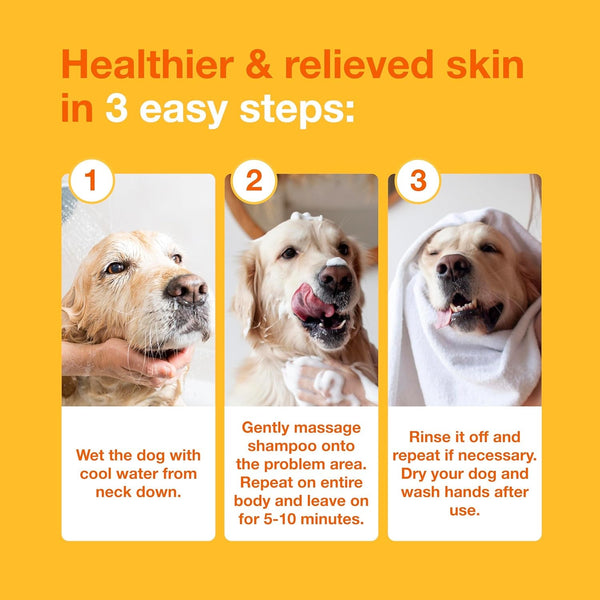 Douxo S3 PYO Medicated Dog Shampoo with 3% Chlorhexidine for Dogs – Antibacterial & Antiseptic Yeast Infection Treatment for Dogs & Cats, Clinically Proven, 6.7 Fl Oz | Antibacterial & Antiseptic Yeast Infection Treatment for Dogs & Cats, Clinically Proven, 6.7 Fl Oz6