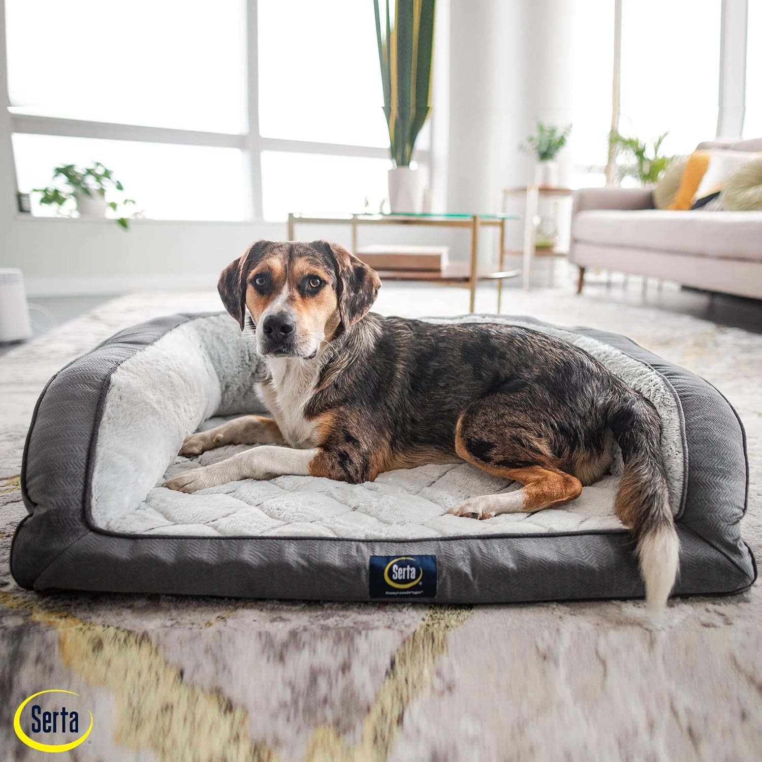 serta-orthopedic-supportive-foam-quilted-couch-dog-bed-with-soft-bolsters-slate-gray-x-large